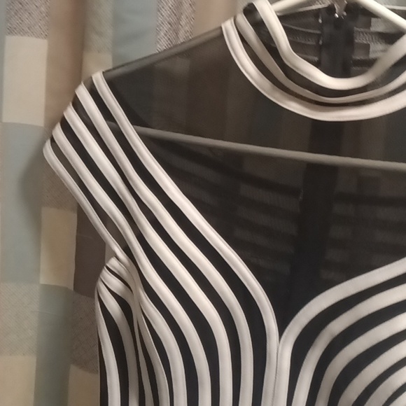 NWT JS COLLECTIONS black/white striped meshed blouse w 22" zipper . Size 6 - Picture 5 of 9